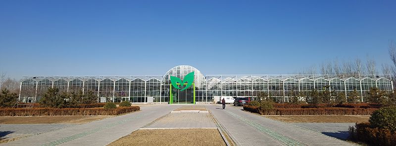 Chiller refrigerado por aire y chiller refrigerado por agua en Beijing Nongcube Greenhouse, Beijing, China